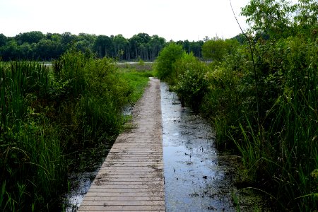 scene pee dee nwr KG (1)