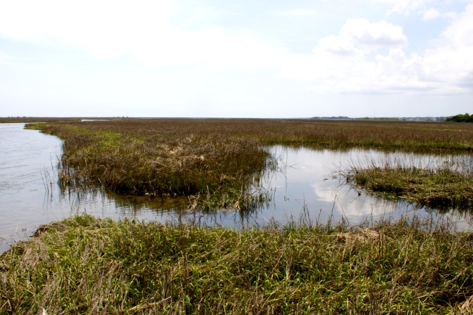 scene Masonboro Island Reserve NC Coastal Reserve