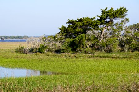 The Rocks at Fort Fisher ncwetlands KG (3)