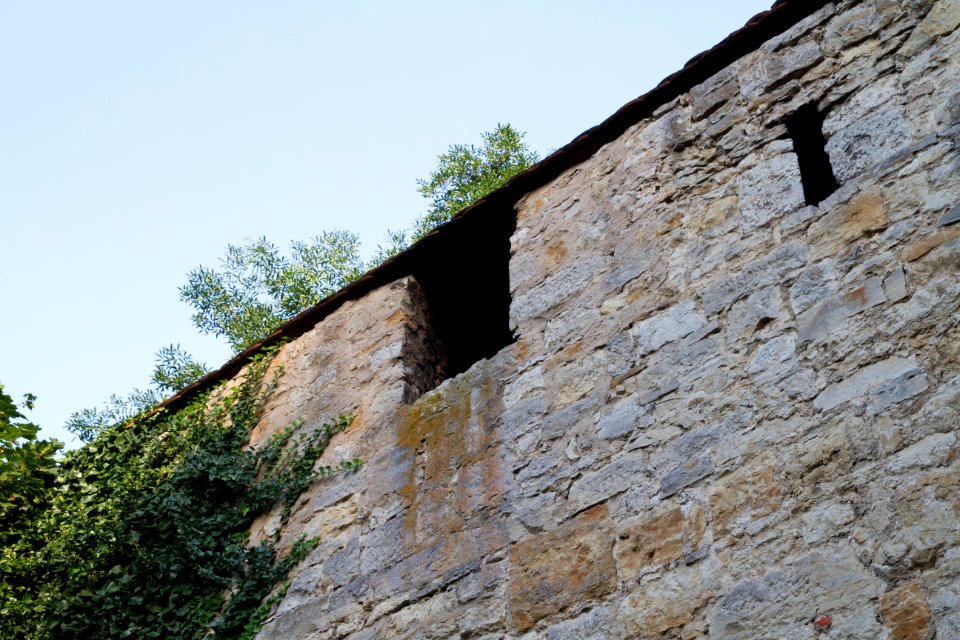 IMG 9637