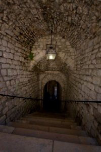 IMG 0599
