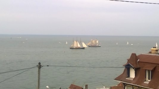 Les voiles de la liberté au Havre photo