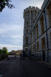 IMG 8972