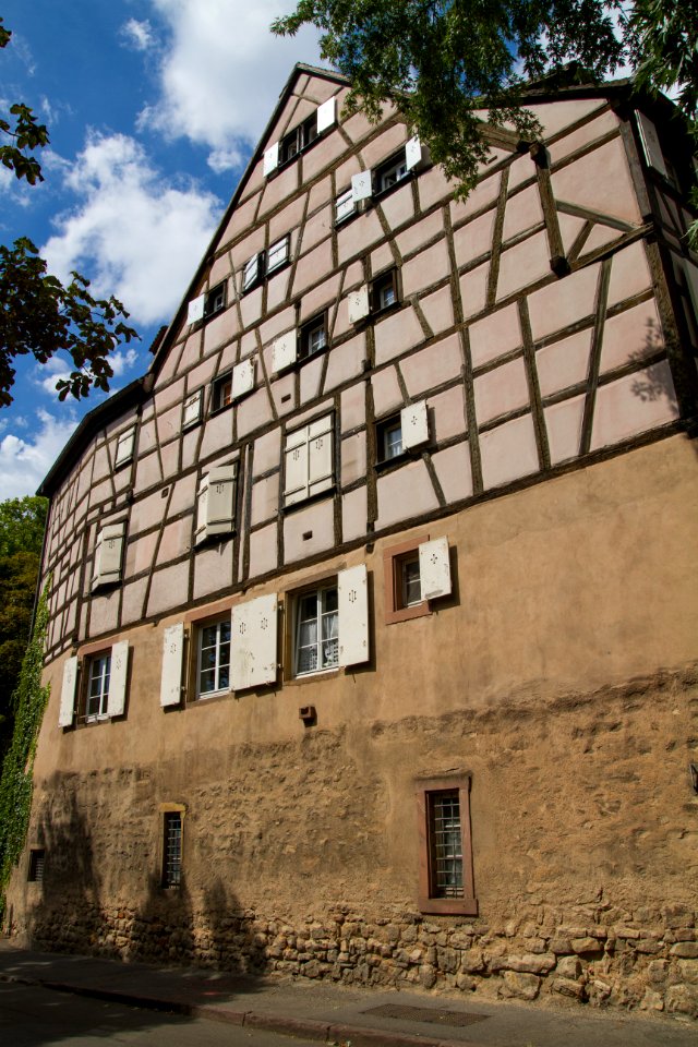 IMG 0061