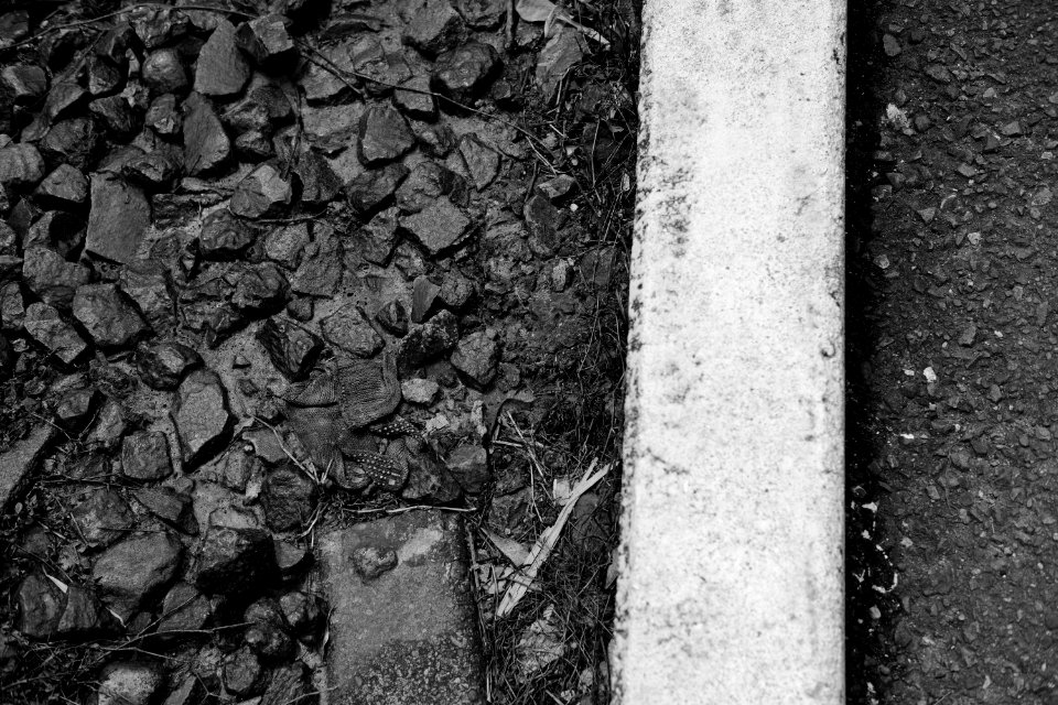 Kamakura wet cobble stone