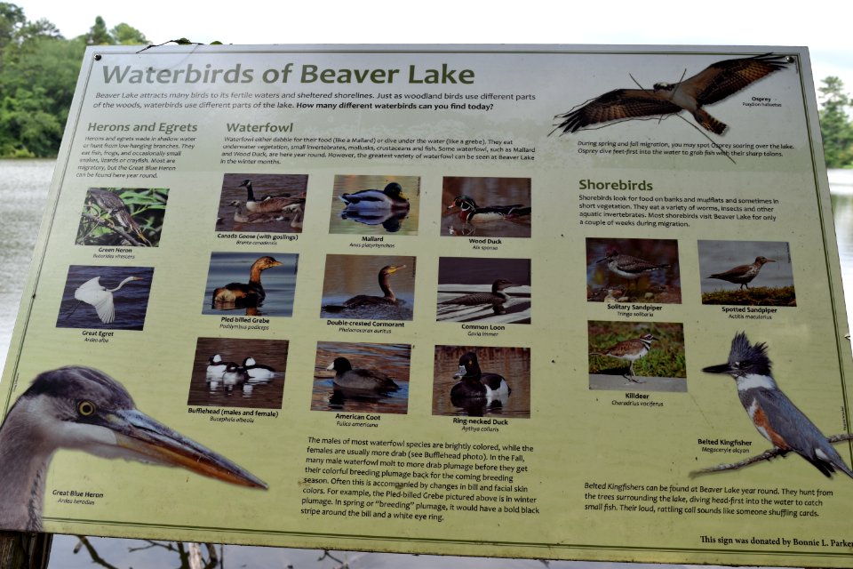 sign Beaver Lake bird sanctuary ncwetlands AM (10)