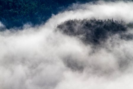 enveloping mists