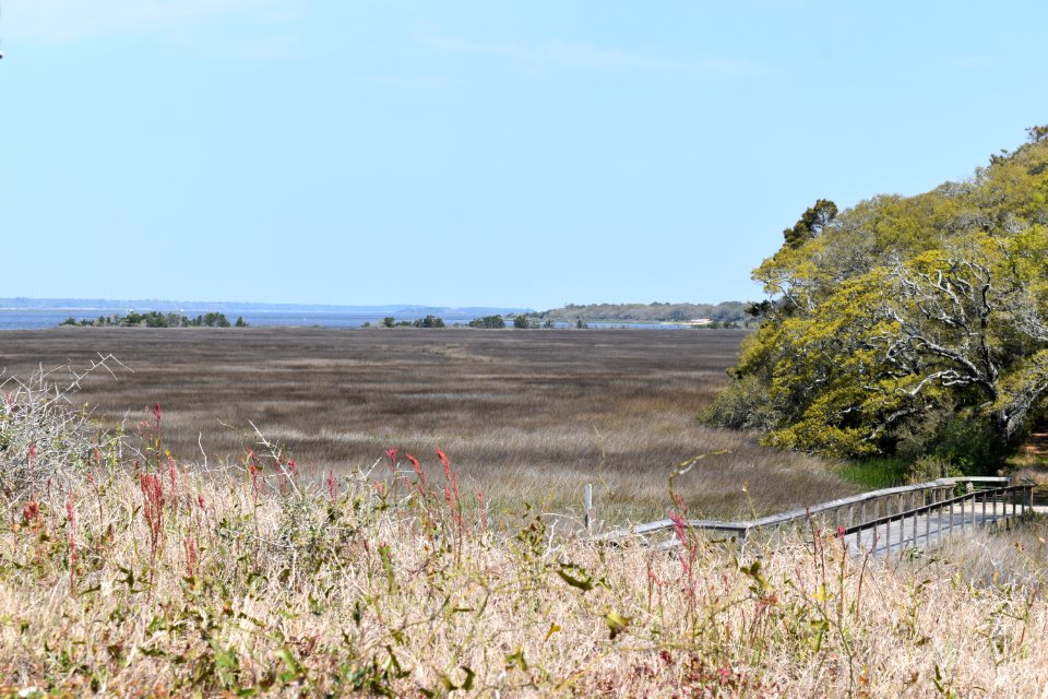 scene brackish marsh Fort Fisher State Historic Site ncwetlands AM (4)