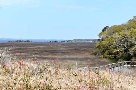 scene brackish marsh Fort Fisher State Historic Site ncwetlands AM (4)