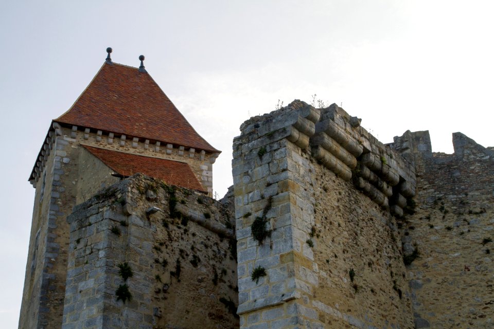 IMG 0789