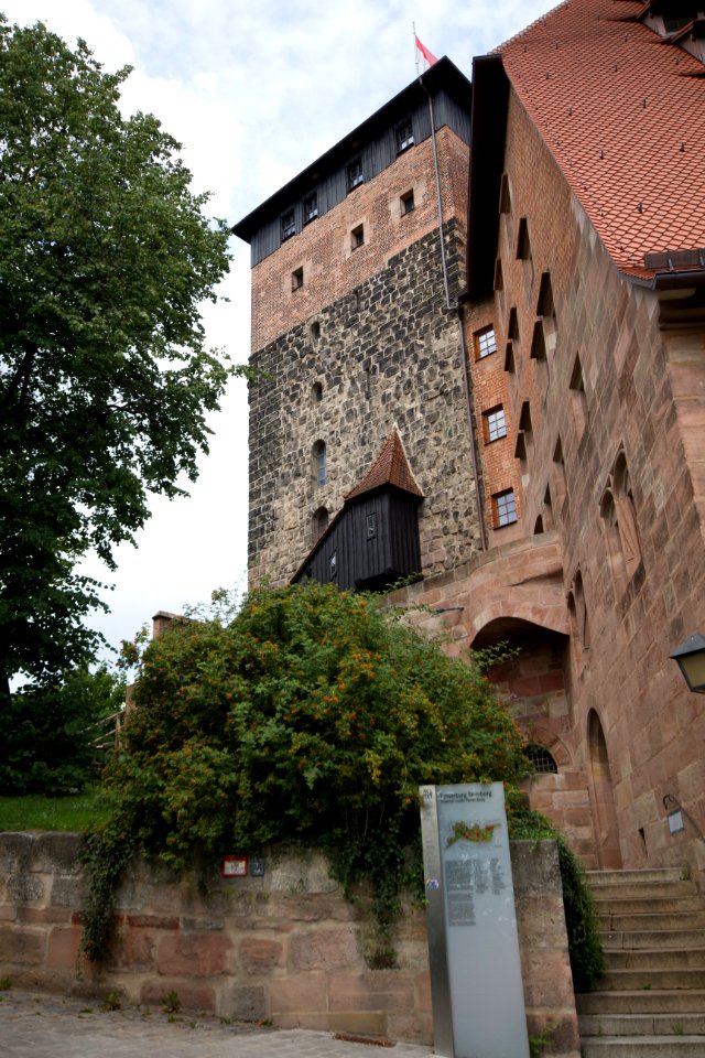 IMG 0011