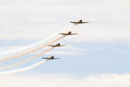 Canadian Harvard Aerobatic Team 3