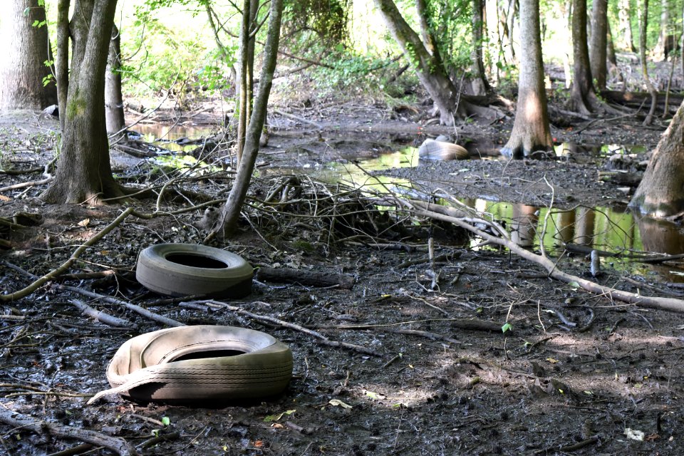 other dumping Lower Roanoke River Wetland Game Lands ncwetlands AM (23)