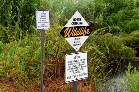 sign Goose Creek Game Land Hobuken Imp ncwetlands am (6)