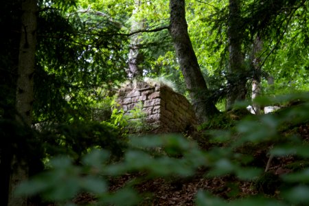 IMG 0459
