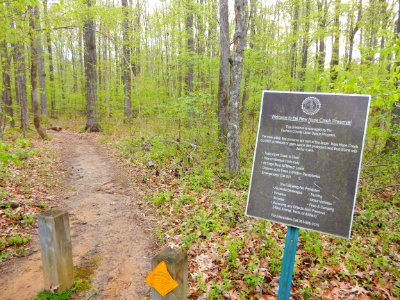 scene new hope crk bottomlands trail ncwetlands KG (3)