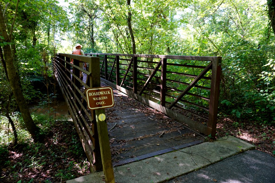 scene greenway Bethebara Park ncwetlands KG (2)
