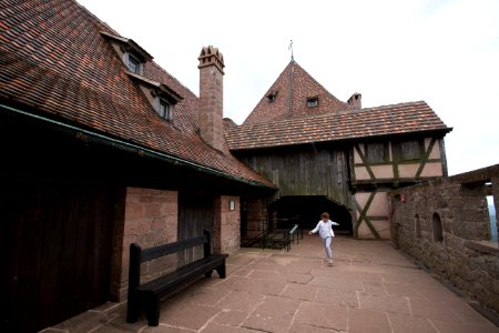 IMG 0366