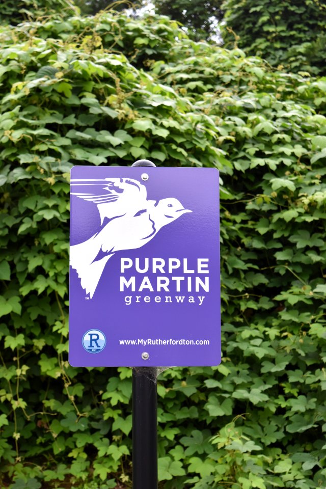 sign purple martin greenway ncwetlands AM (1)