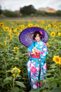 DSC 4242-編輯