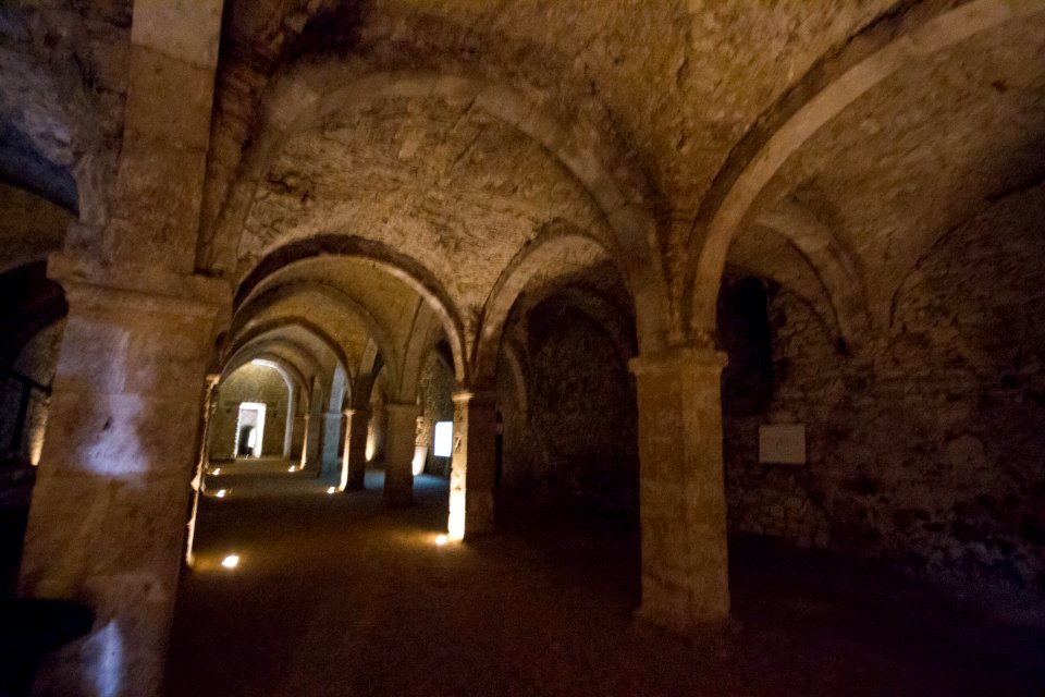 IMG 0617