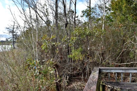 scene Northeast Creek Park AMM (5)
