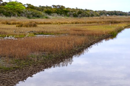 scene oak island 9th st scenic walkway ncwetlands KG (1)