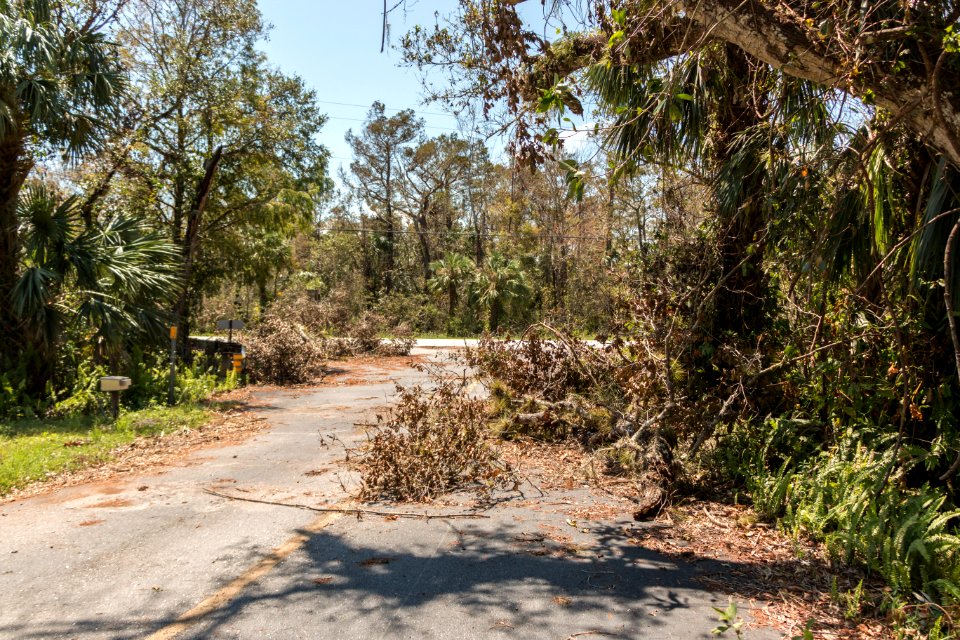 091517 BigCypress 02