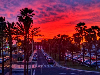 Tenerife, sunset, red sky, palm trees.  Teneryfa, zachód słońca, czerwone niebo, palmy.