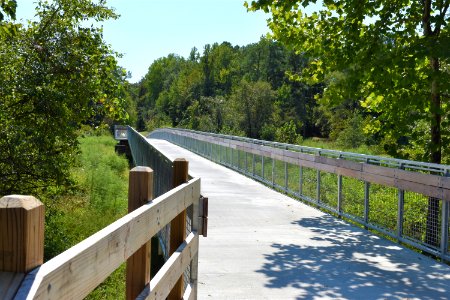 scene Neuse River Trail Craig Burn Ln  (1)