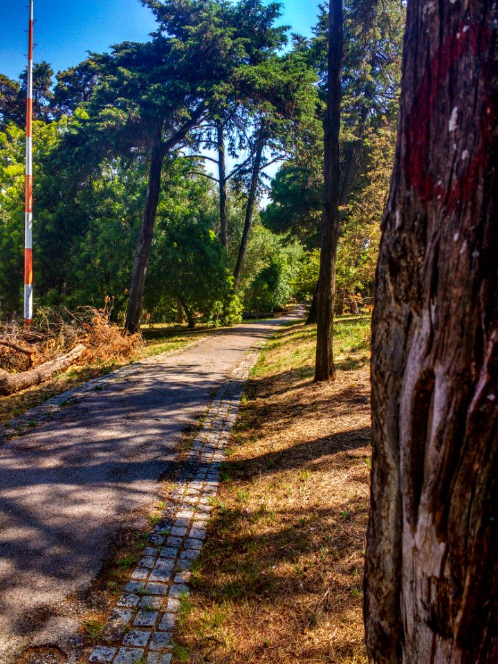 IMG 20170614 155120814 HDR