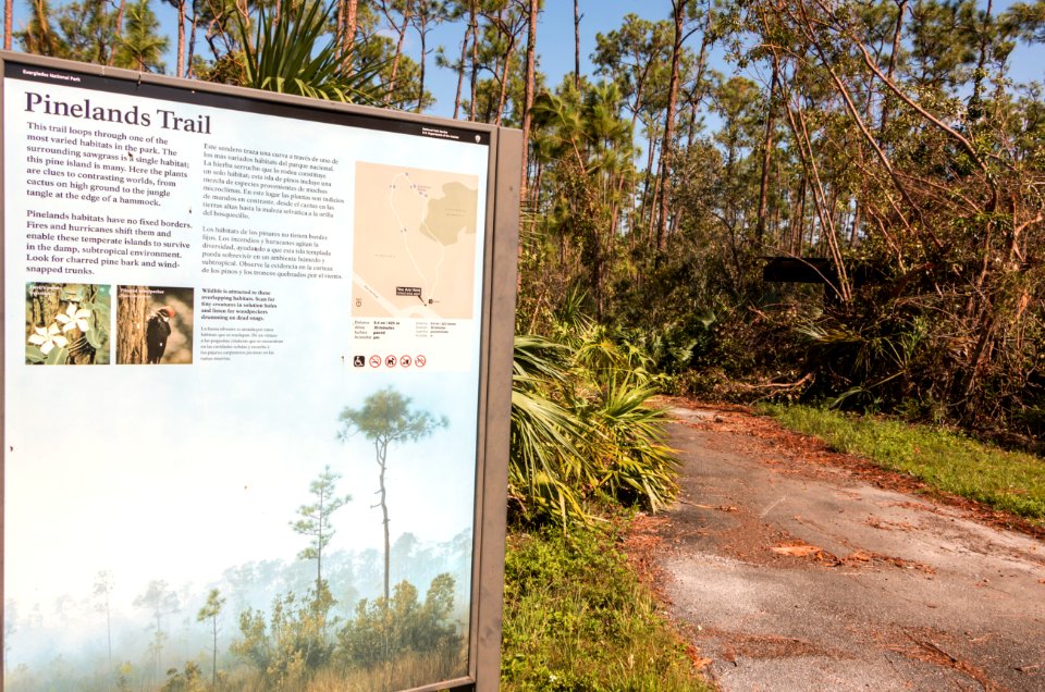 091717 Everglades 24