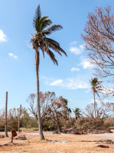 091717 Everglades 33