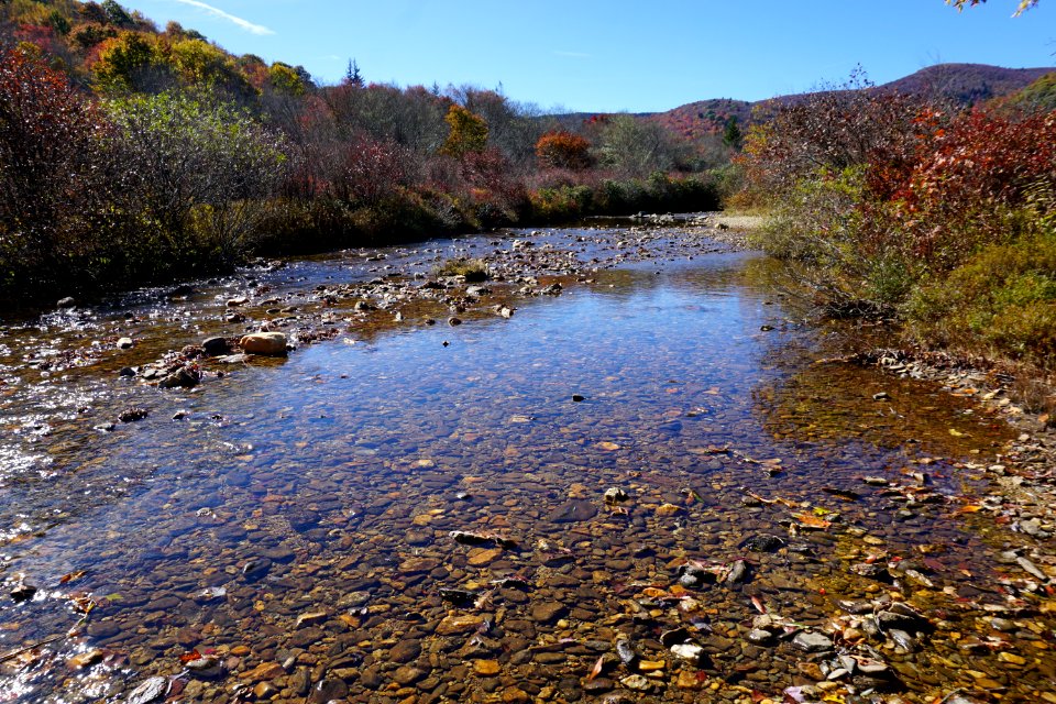 creek Graveyard Fields Blue Ridge ncwetlands KG (32)