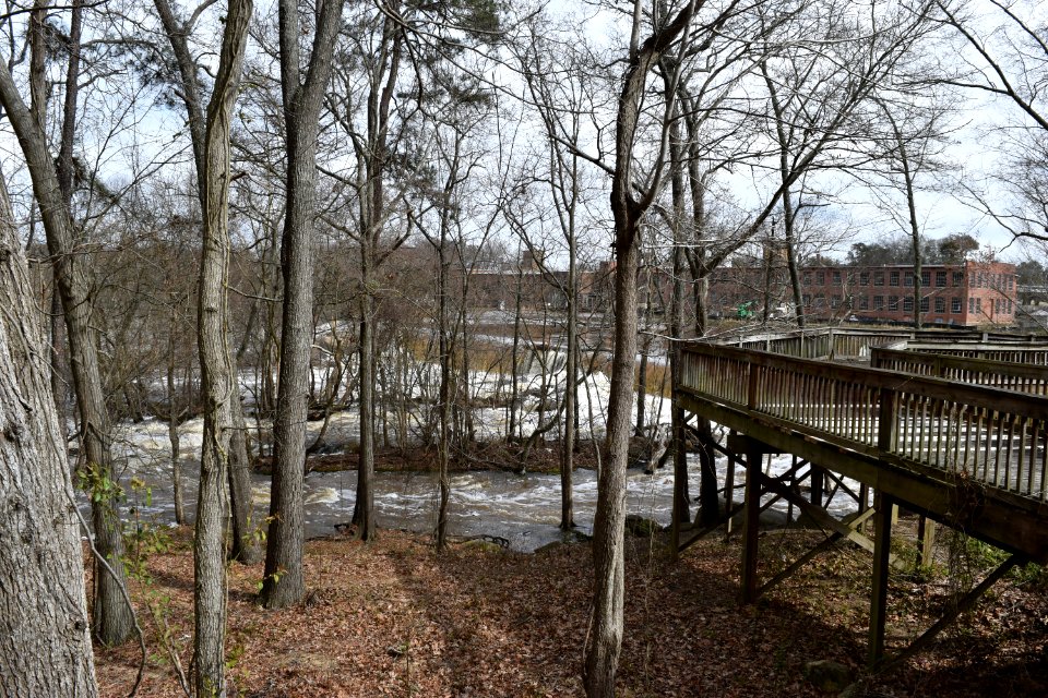 scene dam Battle Park ncwetlands AM (1)