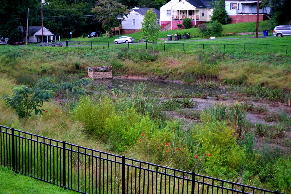Blum Park constructed wetland ncwetlands KG (1)