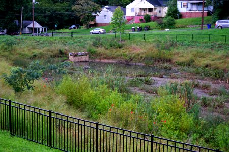 Blum Park constructed wetland ncwetlands KG (1)