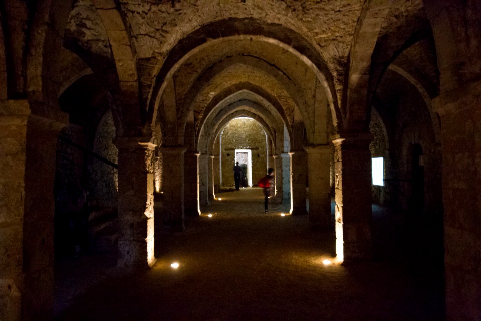 IMG 0622