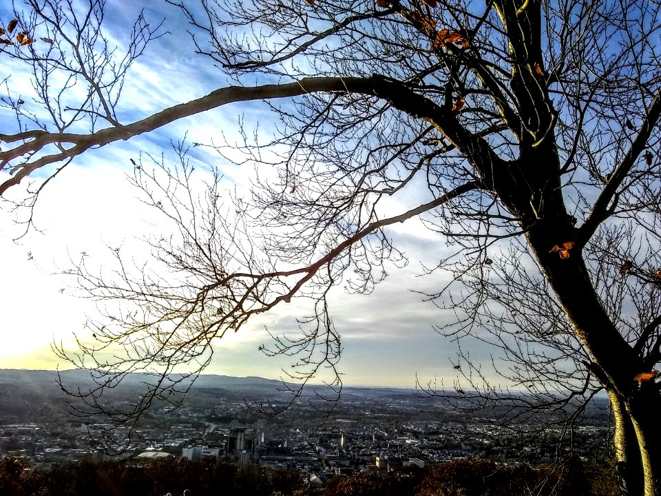 Reading, PA from a Pagoda