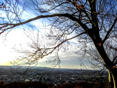 Reading, PA from a Pagoda