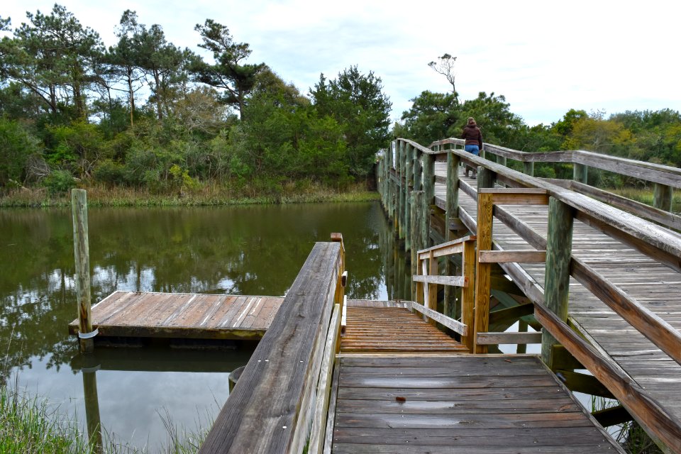 scene Oak Island SE 9th St ncwetlands AM (31)