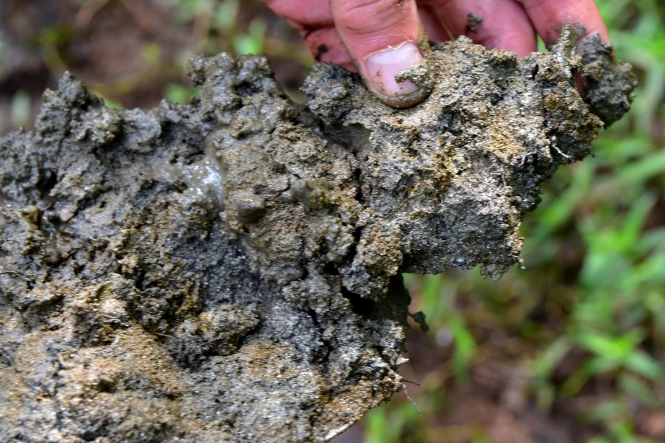 soil Haw River SP Amanda Mueller (71) photo