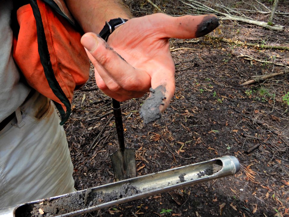 soil Flat Branch NP ncwetlands KG (9)