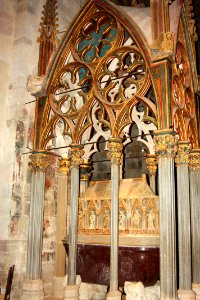 IMG 8819
