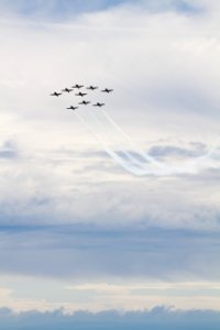 Canadian Forces Snowbirds 1