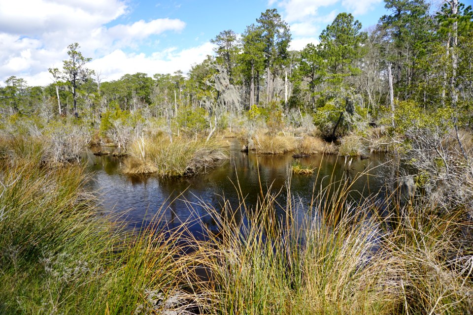 scene Goose Creek SP KG (3)