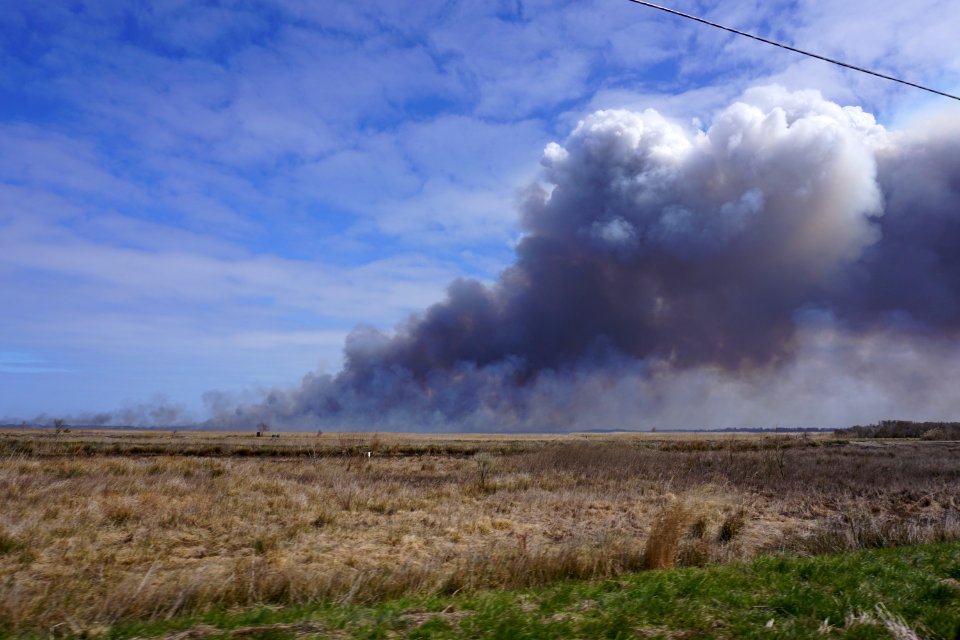scene prescribed fire Mackay Island NWR ncwetlands KG (7)