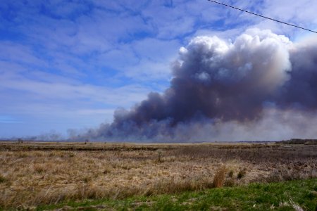 scene prescribed fire Mackay Island NWR ncwetlands KG (7)