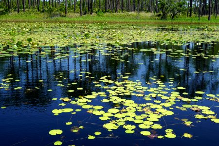 scene patsy's pond croatan NF KG (9)
