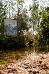 092117 Everglades SharkValley 01